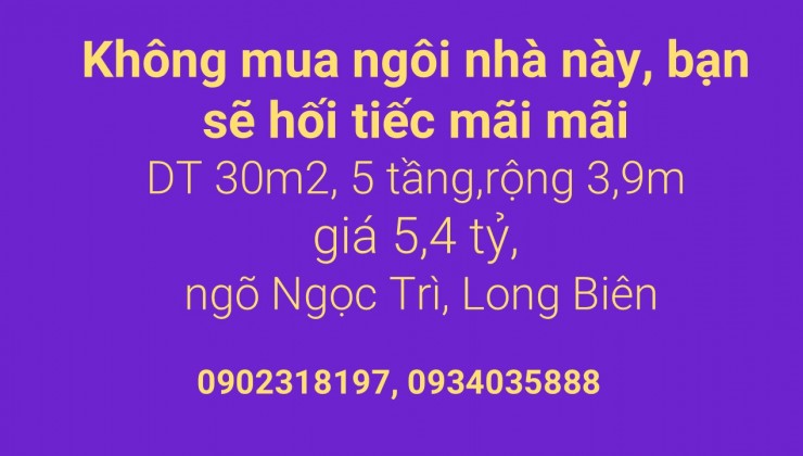 Không mua ngôi nhà này, bạn sẽ hối tiếc mãi mãi